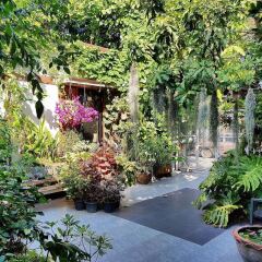 Отель OYO 812 Nature House Бангкок фото 5
