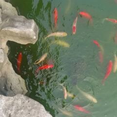 Отель Suzhou Tai Lake Pur-land Inn