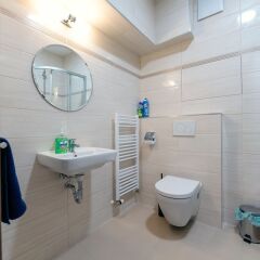 Отель Residence Dobrovskeho 30 Чехия, Прага - отзывы, цены и фото номеров - забронировать отель Residence Dobrovskeho 30 онлайн фото 14