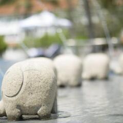 Отель Taj Bentota Resort & Spa Шри-Ланка, Бентота - 2 отзыва об отеле, цены и фото номеров - забронировать отель Taj Bentota Resort & Spa онлайн фото 2