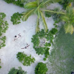 Отель Gold Coast Inn Фиджи, Матаялеву - отзывы, цены и фото номеров - забронировать отель Gold Coast Inn онлайн приотельная территория