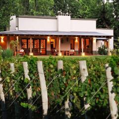 Отель Algodon Wine Estates and Champions Club Аргентина, Сан-Рафаэль - отзывы, цены и фото номеров - забронировать отель Algodon Wine Estates and Champions Club онлайн приотельная территория
