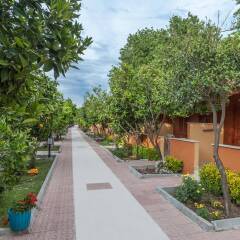 Hotel Ozlem Garden - All Inclusive фото 16