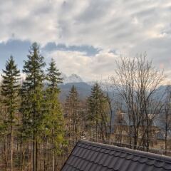 Апартаменты VisitZakopane White River Apartments балкон