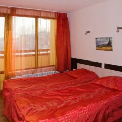 Отель Mountview Lodge комната для гостей фото 5