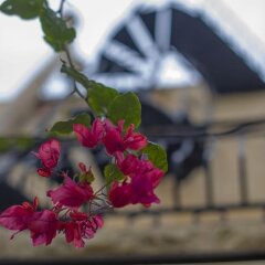 Отель Ta Bertu Host Family Bed & Breakfast Мальта, Зуррик - отзывы, цены и фото номеров - забронировать отель Ta Bertu Host Family Bed & Breakfast онлайн балкон