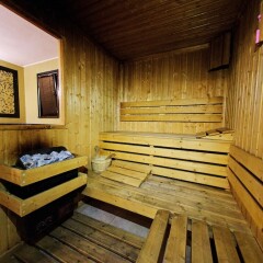 Hotel Dumanov in Bansko, Bulgaria from 59$, photos, reviews - zenhotels.com sauna