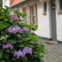 Отель Flemish cottage Бельгия, Осткамп - отзывы, цены и фото номеров - забронировать отель Flemish cottage онлайн