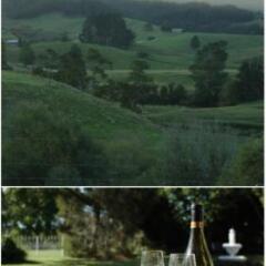 Отель Somersal Bed & Breakfast питание