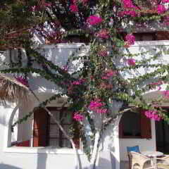 Отель Aparthotel Black Sand фото 9