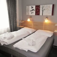 Elen's Hotel Arlington Prague комната для гостей фото 16