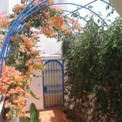 Отель Riad Marlinea Марокко, Схират - отзывы, цены и фото номеров - забронировать отель Riad Marlinea онлайн с домашними животными