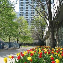Отель Chestnut Residence and Conference Centre - University of Toronto фото 7
