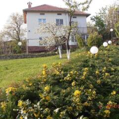 Отель Venikula Guest House Боженци фото 3