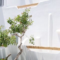 Отель Cavo Bianco фото 4