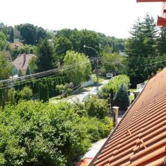 Отель Hejő Apartman Венгрия, Силвашварад - отзывы, цены и фото номеров - забронировать отель Hejő Apartman онлайн балкон