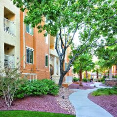 Отель WorldMark Las Vegas Tropicana США, Лас-Вегас - отзывы, цены и фото номеров - забронировать отель WorldMark Las Vegas Tropicana онлайн фото 12