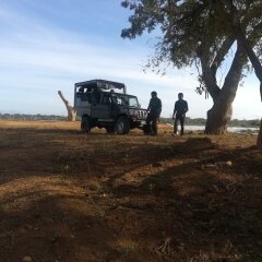 Отель Wild eco safari