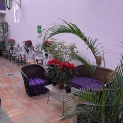 Отель Olga Querida B&B Hostal Мексика, Гвадалахара - отзывы, цены и фото номеров - забронировать отель Olga Querida B&B Hostal онлайн фото 10