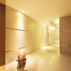 Отель Darak Hotel Южная Корея, Сеул - отзывы, цены и фото номеров - забронировать отель Darak Hotel онлайн сауна