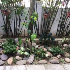Отель Sunny Garden Homestay фото 5
