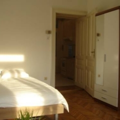 Апартаменты Vienna-apartment-one Halbgasse Вена удобства в номере