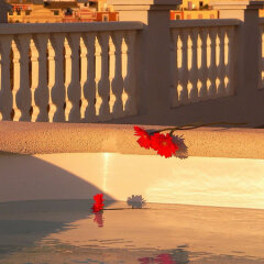 Отель HolaHotel del Carmen пляж