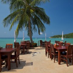 Отель Ko Tao Resort питание