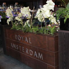 Royal Amsterdam Hotel фото 2