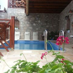 Amazon Petite Palace Турция, Сельчук - отзывы, цены и фото номеров - забронировать отель Amazon Petite Palace онлайн с домашними животными