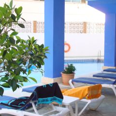 Отель Palm Beach Club с домашними животными