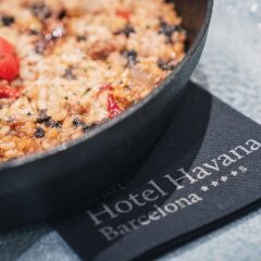 Gran Hotel Havana с домашними животными