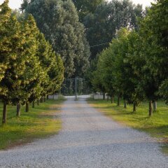 Отель Agriturismo Fattoria Corte Roeli Малальберго спортивное сооружение