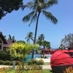 Отель Royal Beach Boutique Resort & Spa Koh Samui фото 11