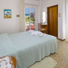 Hotel Alfredo's комната для гостей