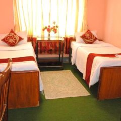 Отель Bright Star Непал, Катманду - отзывы, цены и фото номеров - забронировать отель Bright Star онлайн фото 3