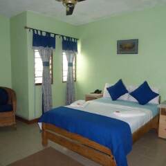 Отель Almond Tree Guest House комната для гостей фото 3