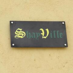 Отель ShayVille развлечения