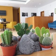 Отель ANC Experience Resort Португалия, Агуа-де-Пау - отзывы, цены и фото номеров - забронировать отель ANC Experience Resort онлайн интерьер отеля фото 3