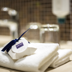 Отель Dorint Airport-Hotel Zürich Швейцария, Глаттбруг - отзывы, цены и фото номеров - забронировать отель Dorint Airport-Hotel Zürich онлайн спа