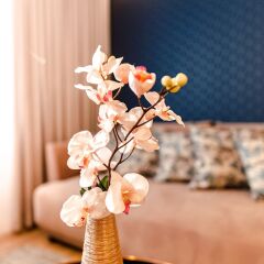 Отель Pure Rental Apartments - City Residence Польша, Вроцлав - отзывы, цены и фото номеров - забронировать отель Pure Rental Apartments - City Residence онлайн фото 14