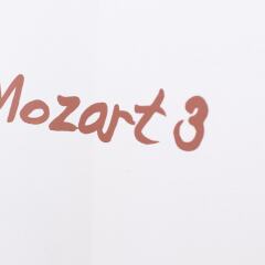 Отель Salzburg Residence Mozart Зальцбург приотельная территория