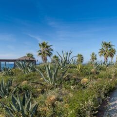 Отель All Senses Nautica Blue Exclusive Resort & Spa-All Inclusive фото 7
