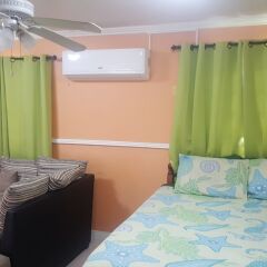 Апартаменты The Oasis at Oaklands Apartment 2 комната для гостей фото 3