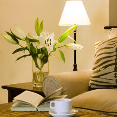 Palacina The Residence & The Suites in Nairobi, Kenya from 122$, photos, reviews - zenhotels.com room amenities photo 2