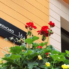 Гостиница MaNNa Boutique Hotel - Adults only Украина, Киев - отзывы, цены и фото номеров - забронировать гостиницу MaNNa Boutique Hotel - Adults only онлайн фото 7
