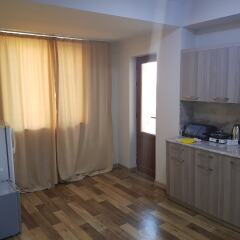 Отель Cross Apartments and Tours Армения, Ереван - отзывы, цены и фото номеров - забронировать отель Cross Apartments and Tours онлайн в номере фото 2