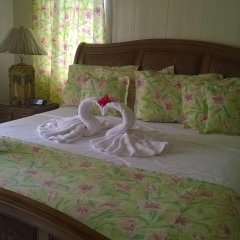 South Coast Horizons in St. Mary, Antigua and Barbuda from 114$, photos, reviews - zenhotels.com guestroom photo 5