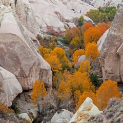 Мини-отель The Cappadocia Ургуп приотельная территория фото 2