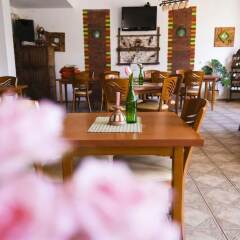 Отель Pirina Club Family Hotel Болгария, Банско - отзывы, цены и фото номеров - забронировать отель Pirina Club Family Hotel онлайн питание